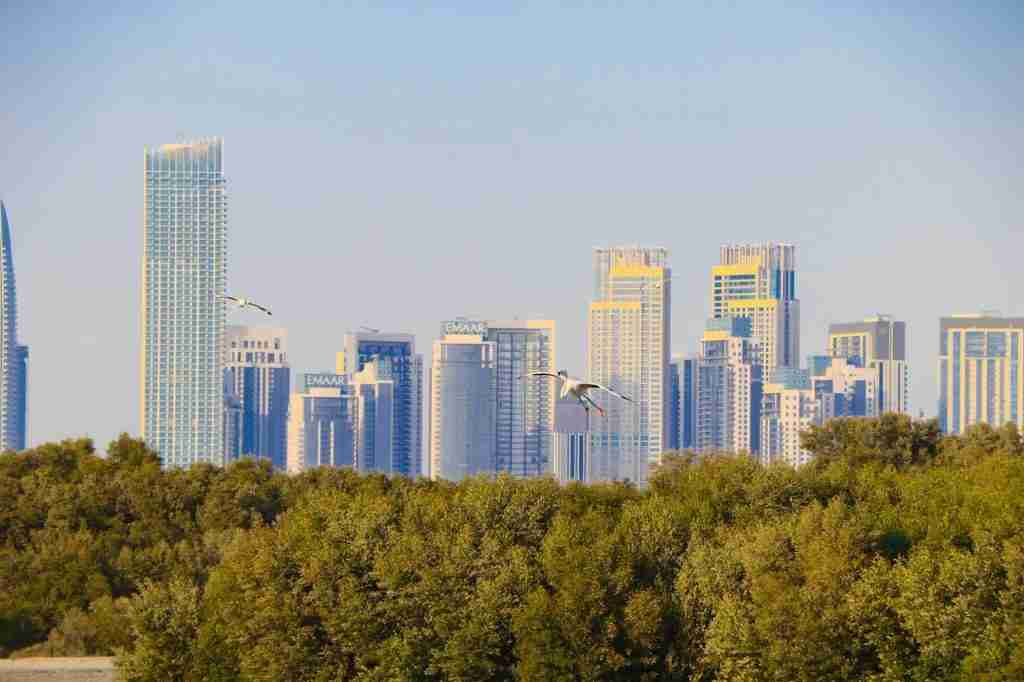 Appartement sur plan à Dubaï avec vue panoramique sur la skyline, investissement immobilier off-plan — Pexels/Subbu Rayan