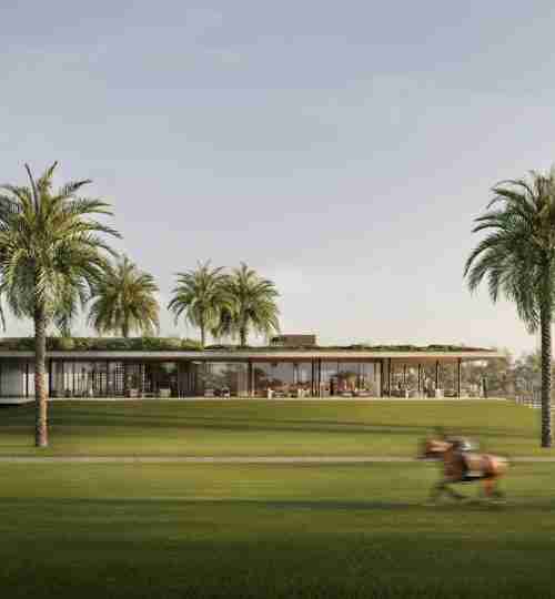 Chevalia Fields