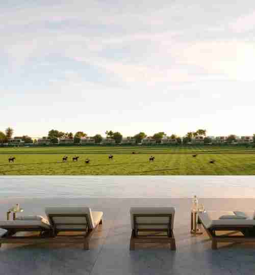 Chevalia Fields